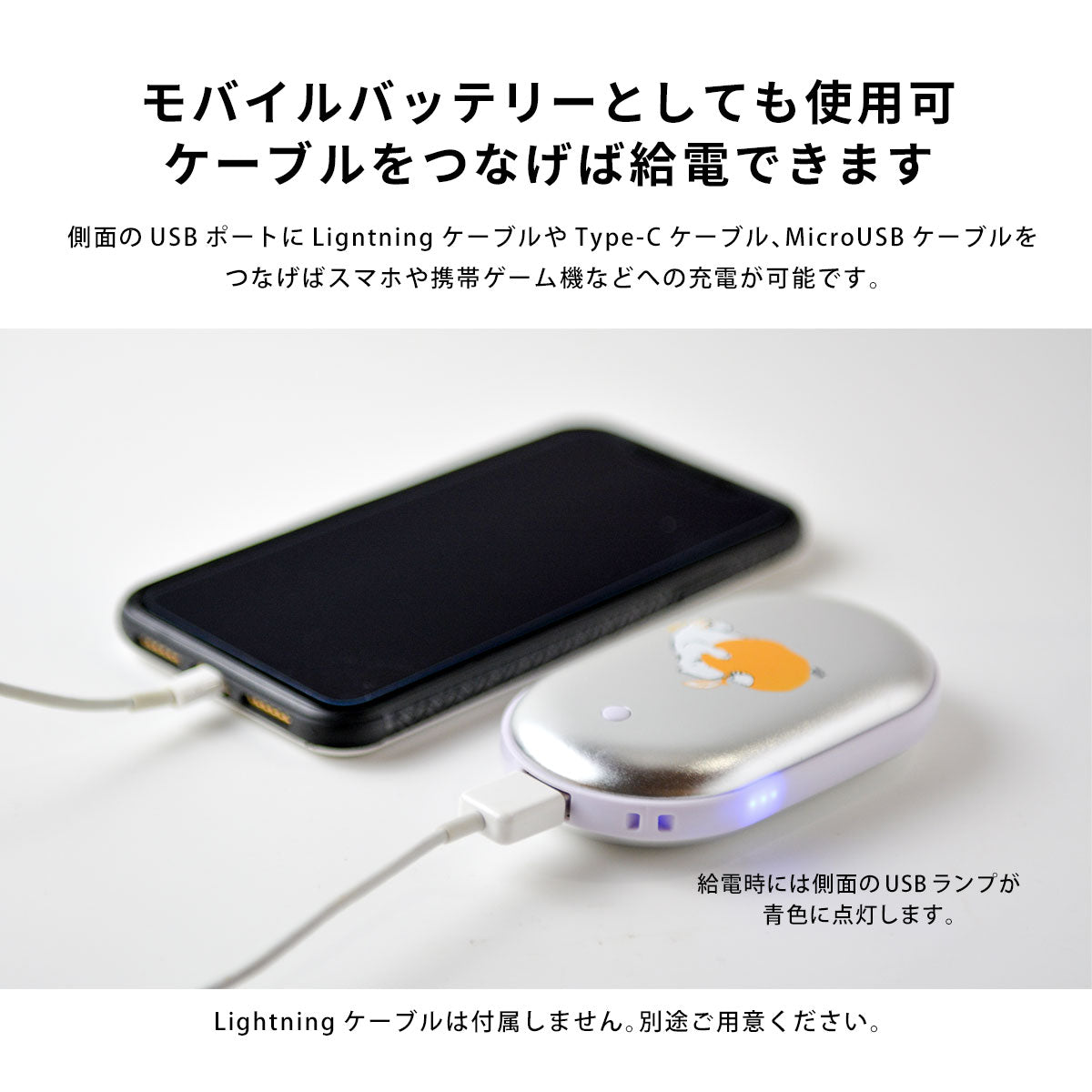 充電式カイロ テディベアとトイプードル