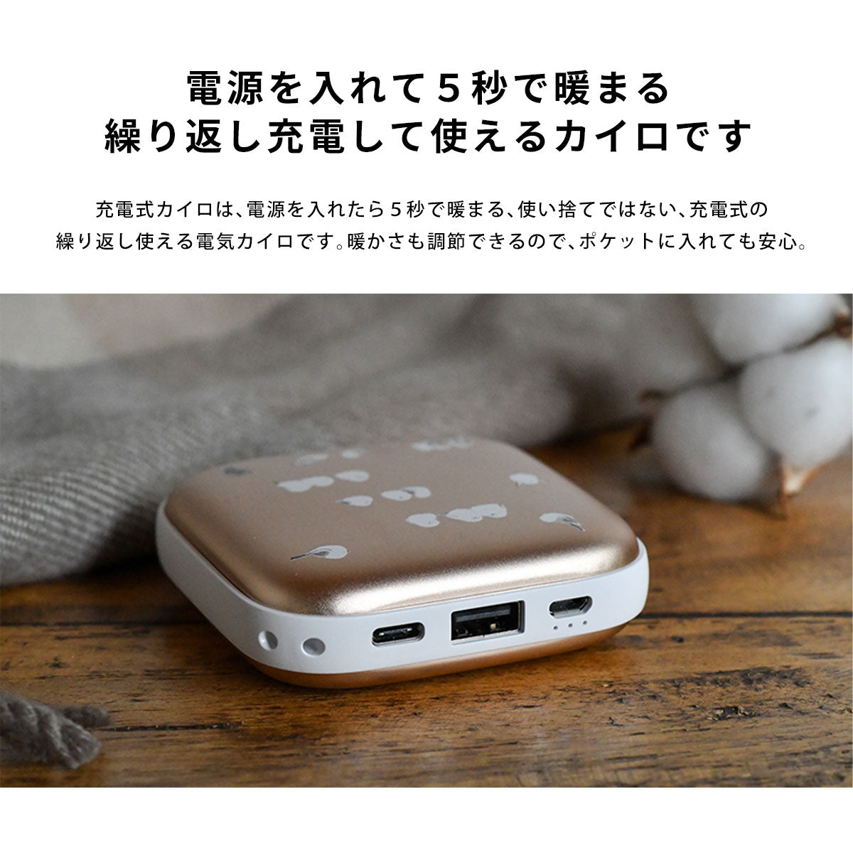 充電式カイロ テディベアとトイプードル