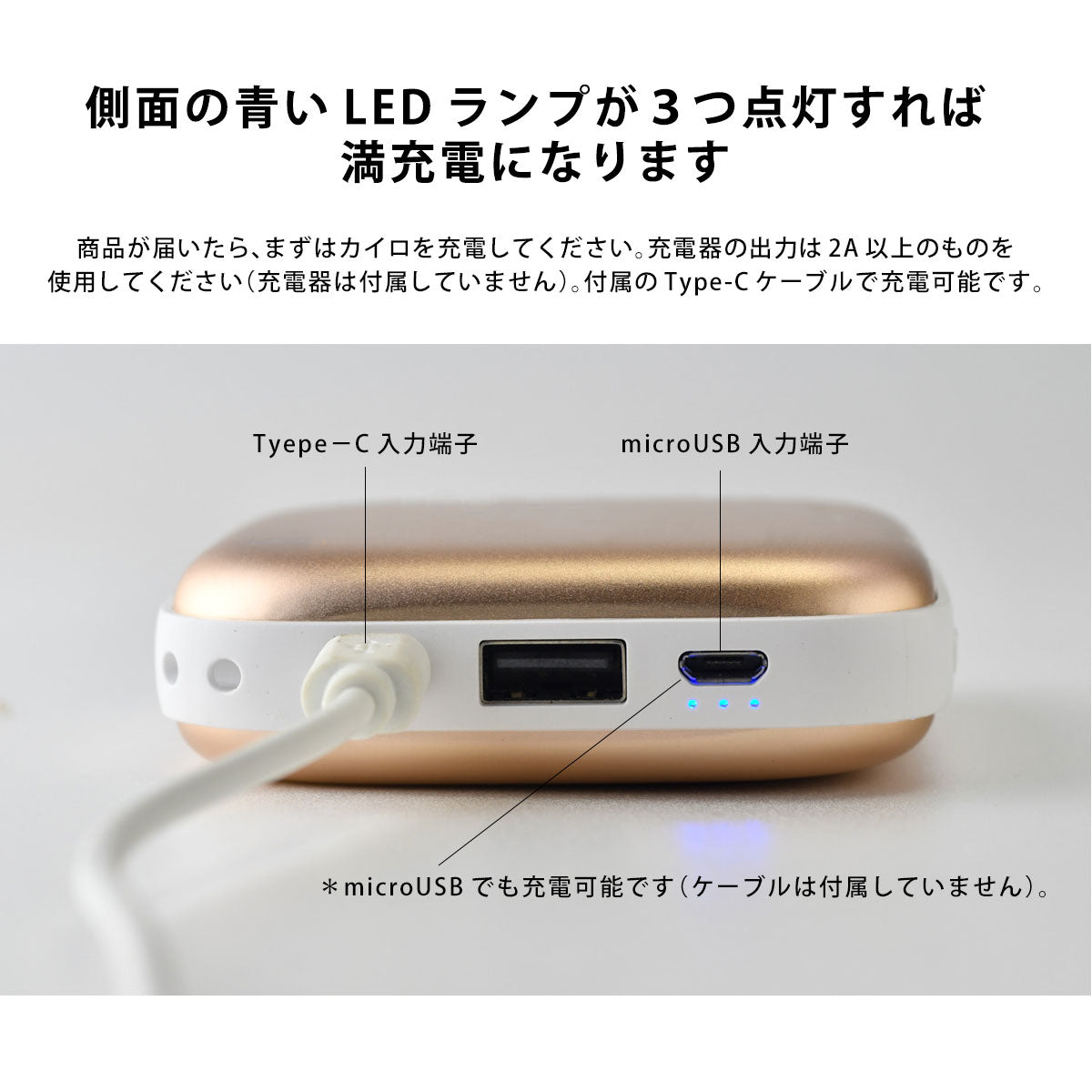 充電式カイロ テディベアとトイプードル