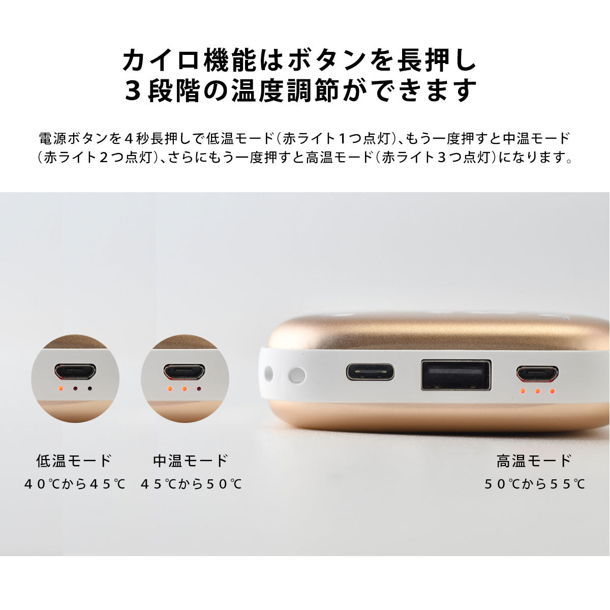 充電式カイロ テディベアとトイプードル