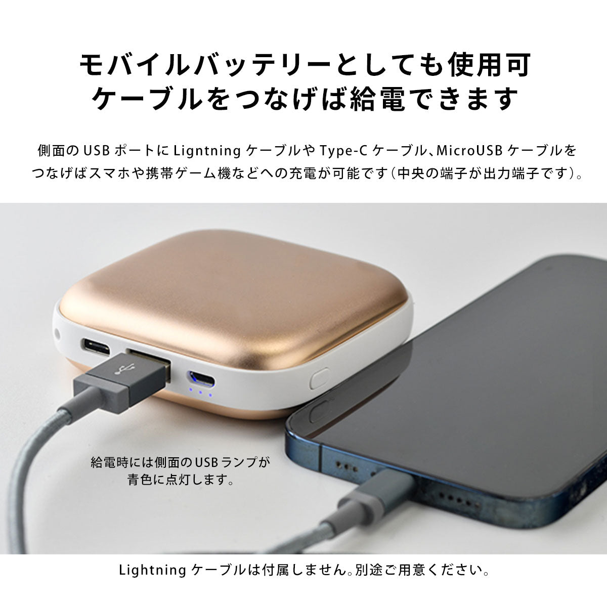 充電式カイロ テディベアとトイプードル